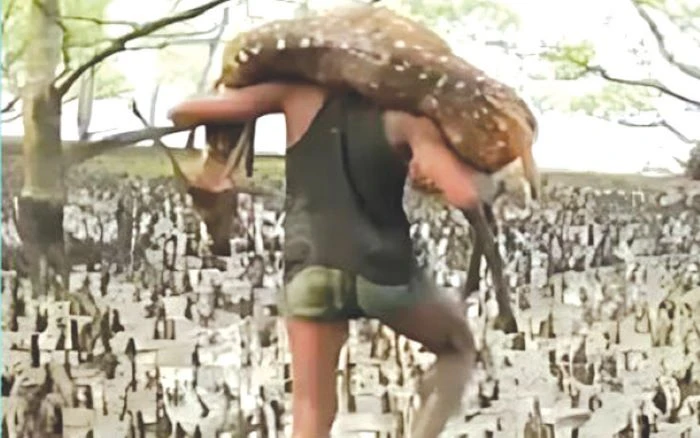 বিশ্ব ঐতিহ্য সুন্দরবনে বাড়ছে চোরা শিকারিদের দৌরাত্ম্য 
